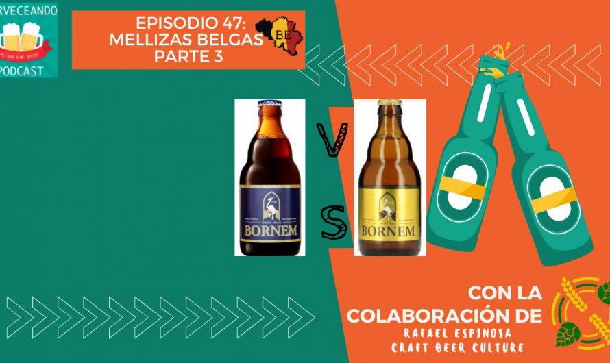 Cerveceando Podcast – Episodio 47 – Las mellizas belgas parte 3 listo para escuchar
